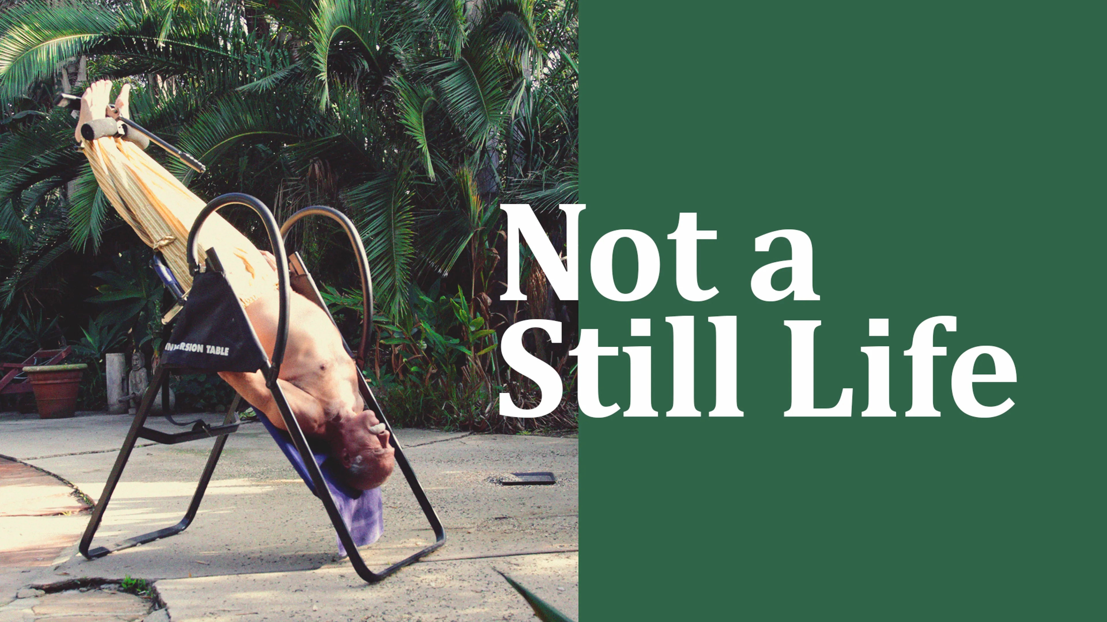 Not a Still Life poster